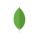 Custom Software Development 25 mongodb-icon