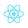Custom Software Development 13 react-1